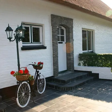 Krekeltje Daire Oostduinkerke